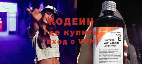 гидра Надым
