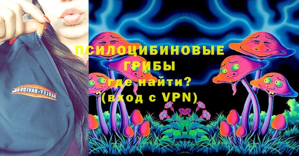 ГАЛЛЮЦИНОГЕННЫЕ ГРИБЫ Наволоки