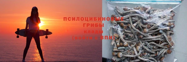 ECSTASY Навашино