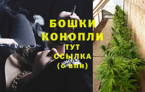 ГАЛЛЮЦИНОГЕННЫЕ ГРИБЫ Наволоки