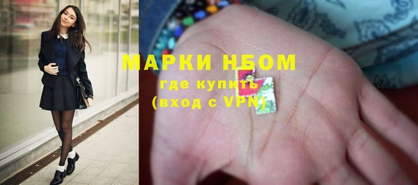 гидра Надым
