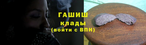 гидра Надым