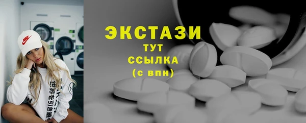 гидра Надым
