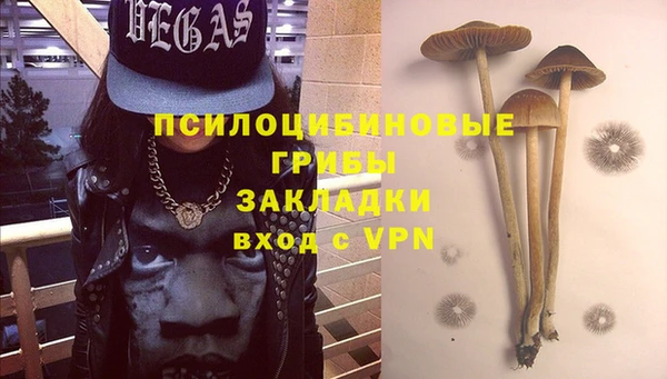 гидра Надым