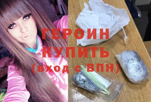гидра Надым