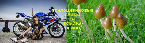 ECSTASY Навашино