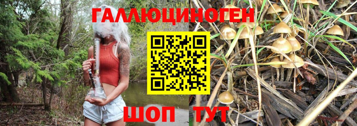 Отрадный  Галлюциногенные грибы MAGIC MUSHROOMS  Вход с VPN 